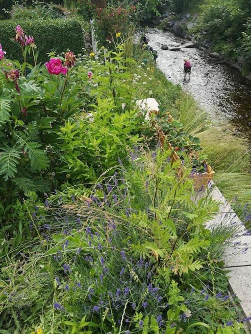Guenstige, Schoene Im Wanderparadies Apartment Wernigerode